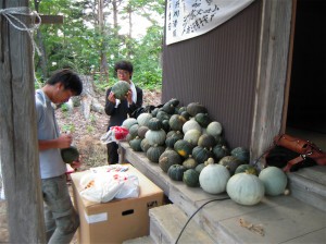 尾花沢かぼちゃころがし