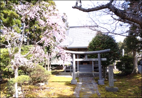 酒井神社